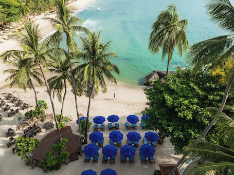 Private beach, white sand, beach umbrellas, beach towels. Panviman Resort, Koh Phangan