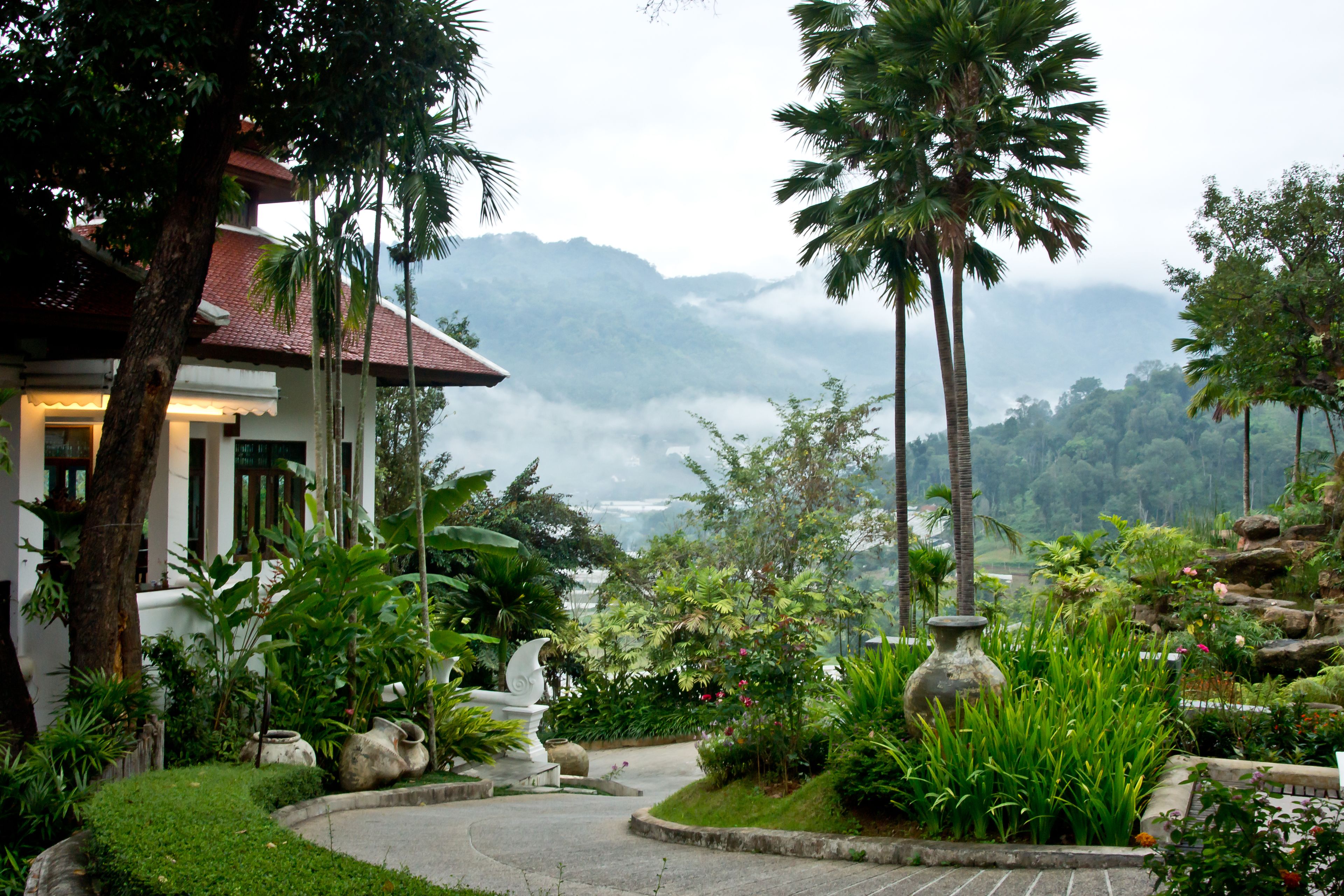 A tropical garden with a curved pathway leading to a building with a red roof.