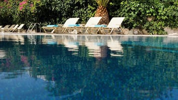 Quang cảnh vườn