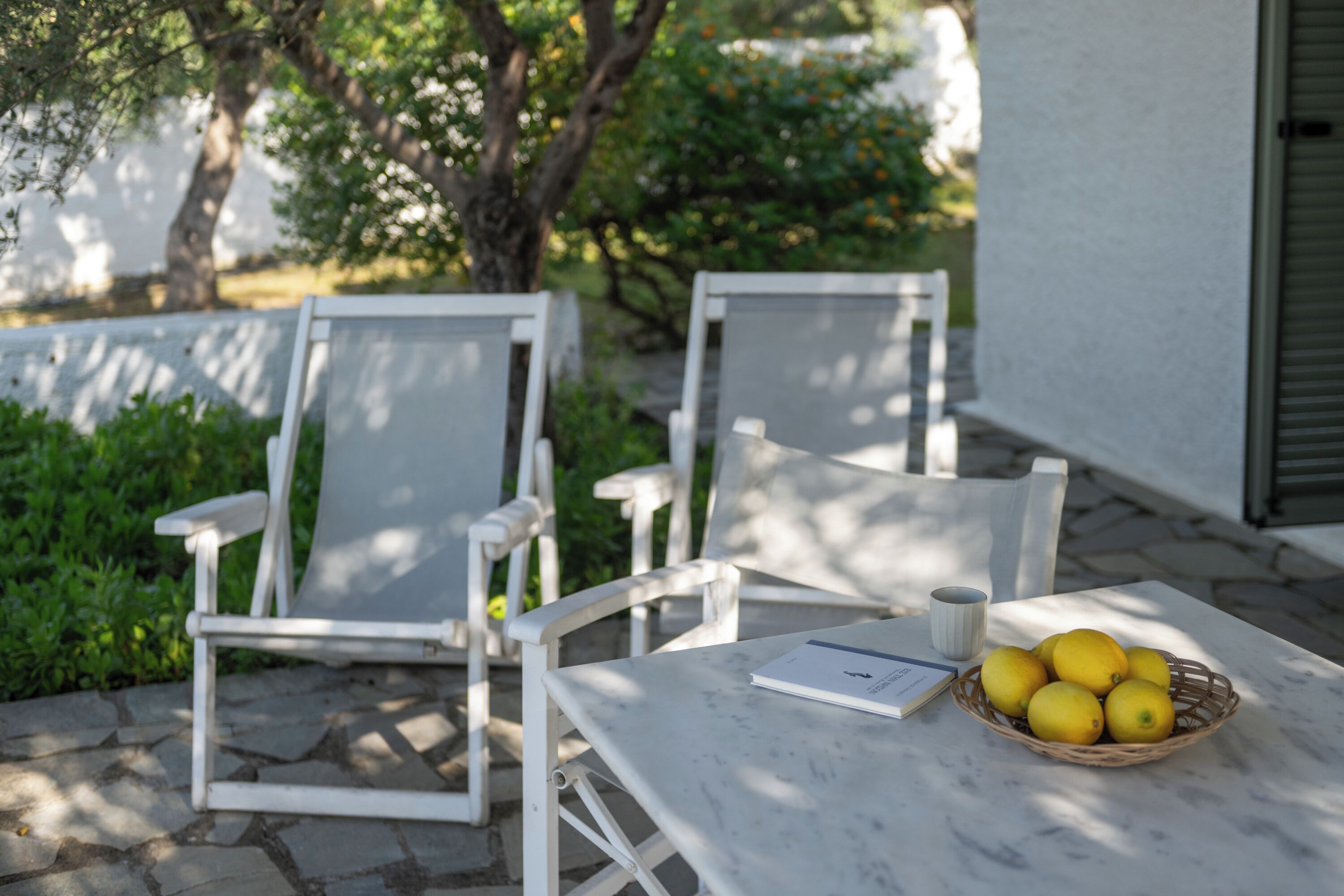 A table with a basket of lemons, a cup, and a menu.