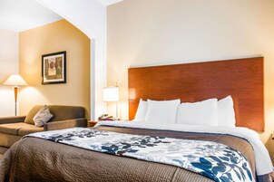 Quarto de hotel com uma cama grande, um sofá, uma mesa de cabeceira e uma luminária.