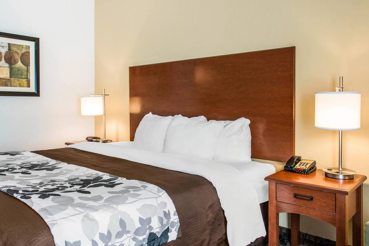 Habitación de hotel con una cama grande, cabecera de madera, mesita de noche con lámpara, teléfono y un cuadro en la pared.