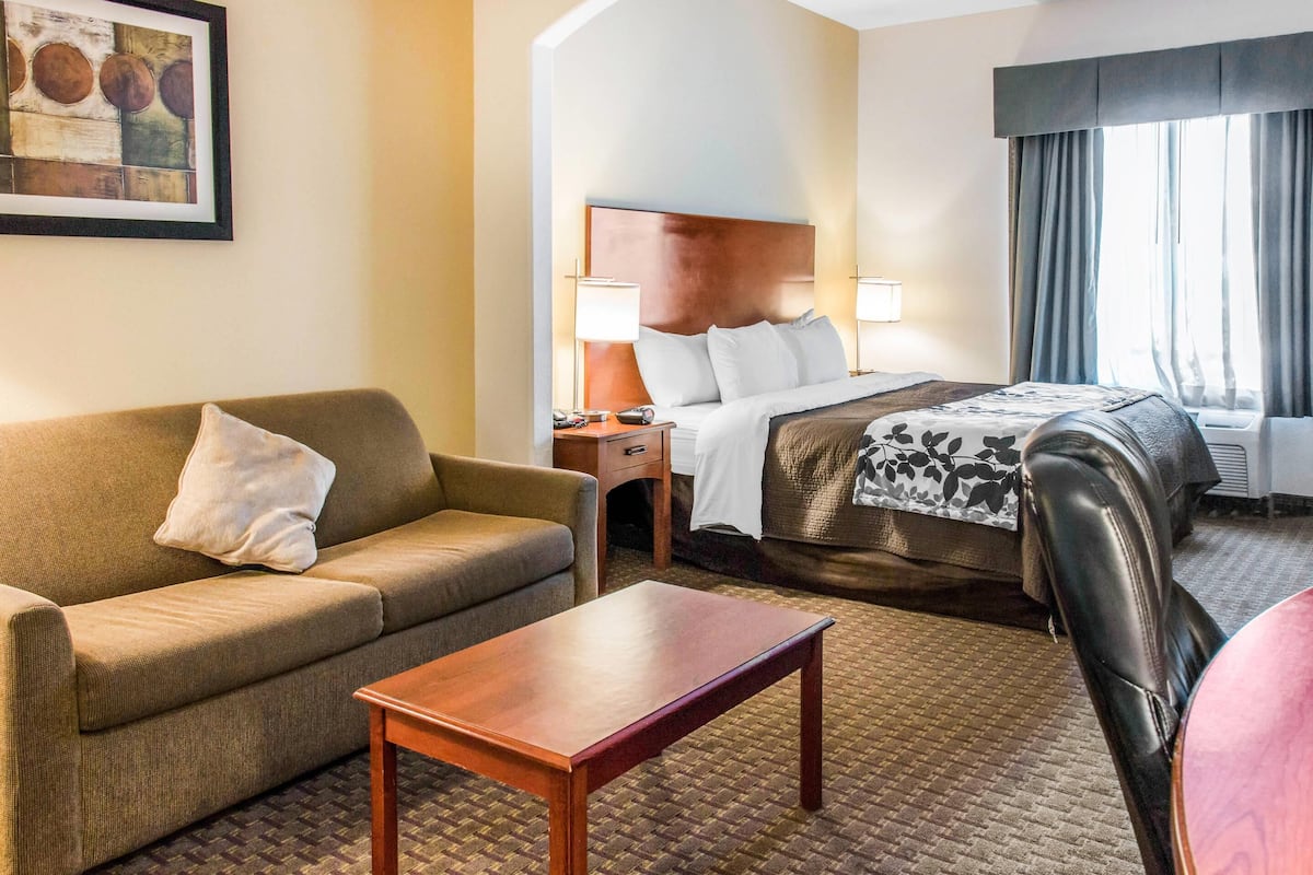 Una habitación de hotel con una cama, un sofá, una mesita y una silla.