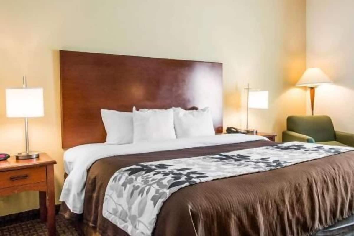 Una habitación de hotel con una cama grande, dos mesitas de noche con lámparas, un sillón verde y un cabecero de madera.