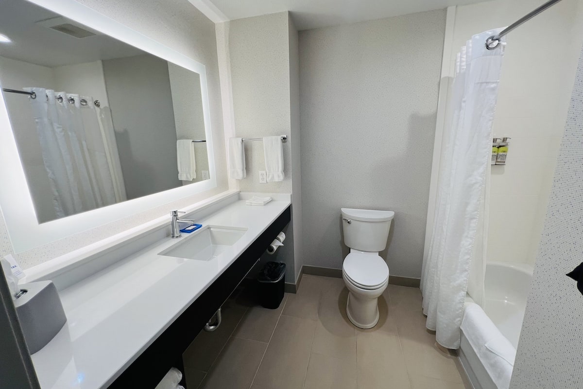 combined shower/bathtub, free toiletries, hair dryer, towels