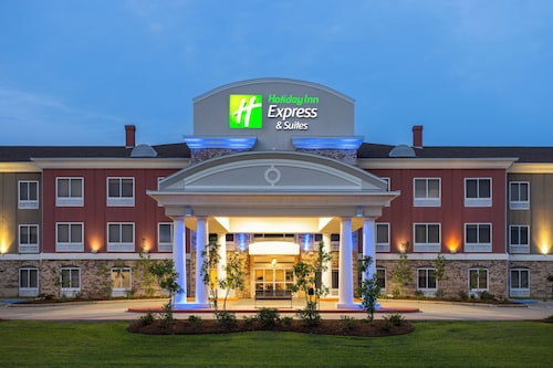 Holiday Inn Express Hotel & Suites New Iberia - Avery Island by IHG