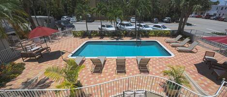 A swimming pool with lounge chairs and a red umbrella, surrounded by palm trees and a brick patio.