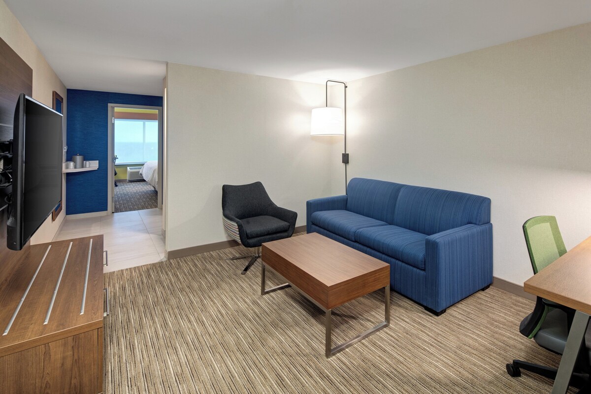Suite, 1 King Bed with Sofa bed