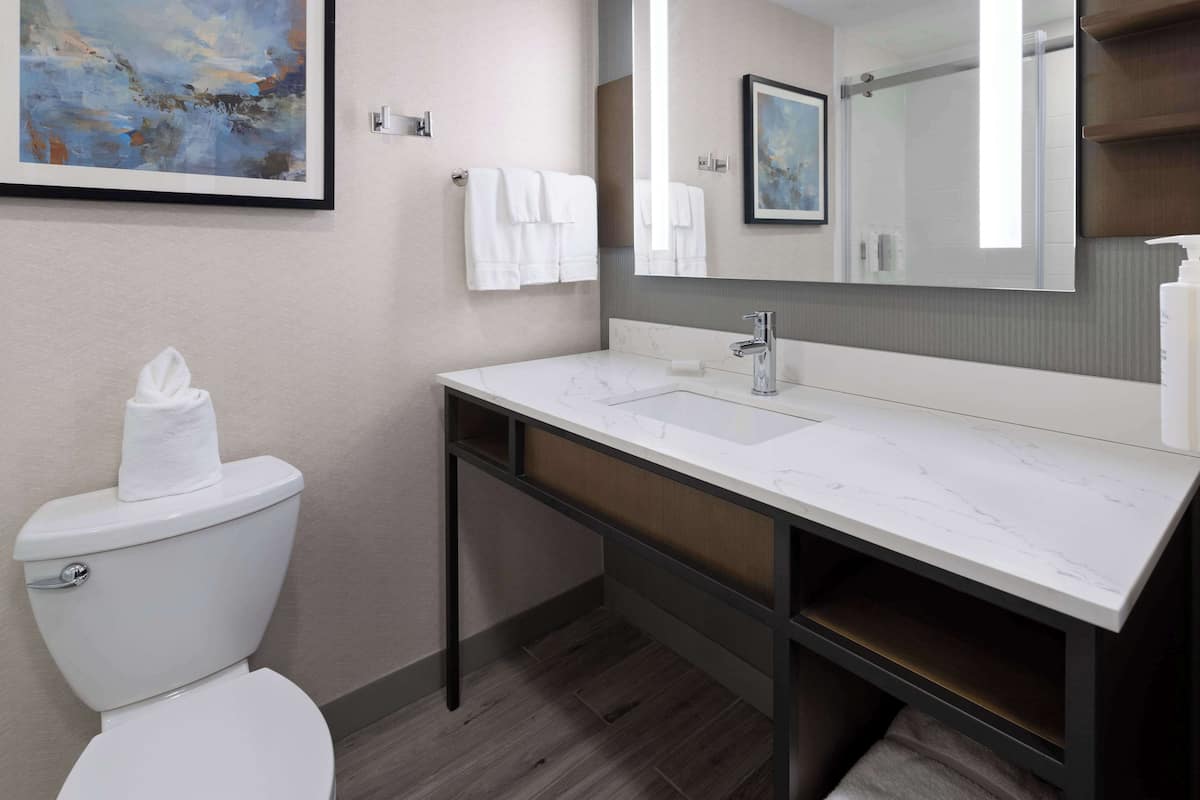 Een moderne badkamer met een wit toilet, een marmeren wastafel en een grote spiegel boven de wastafel.