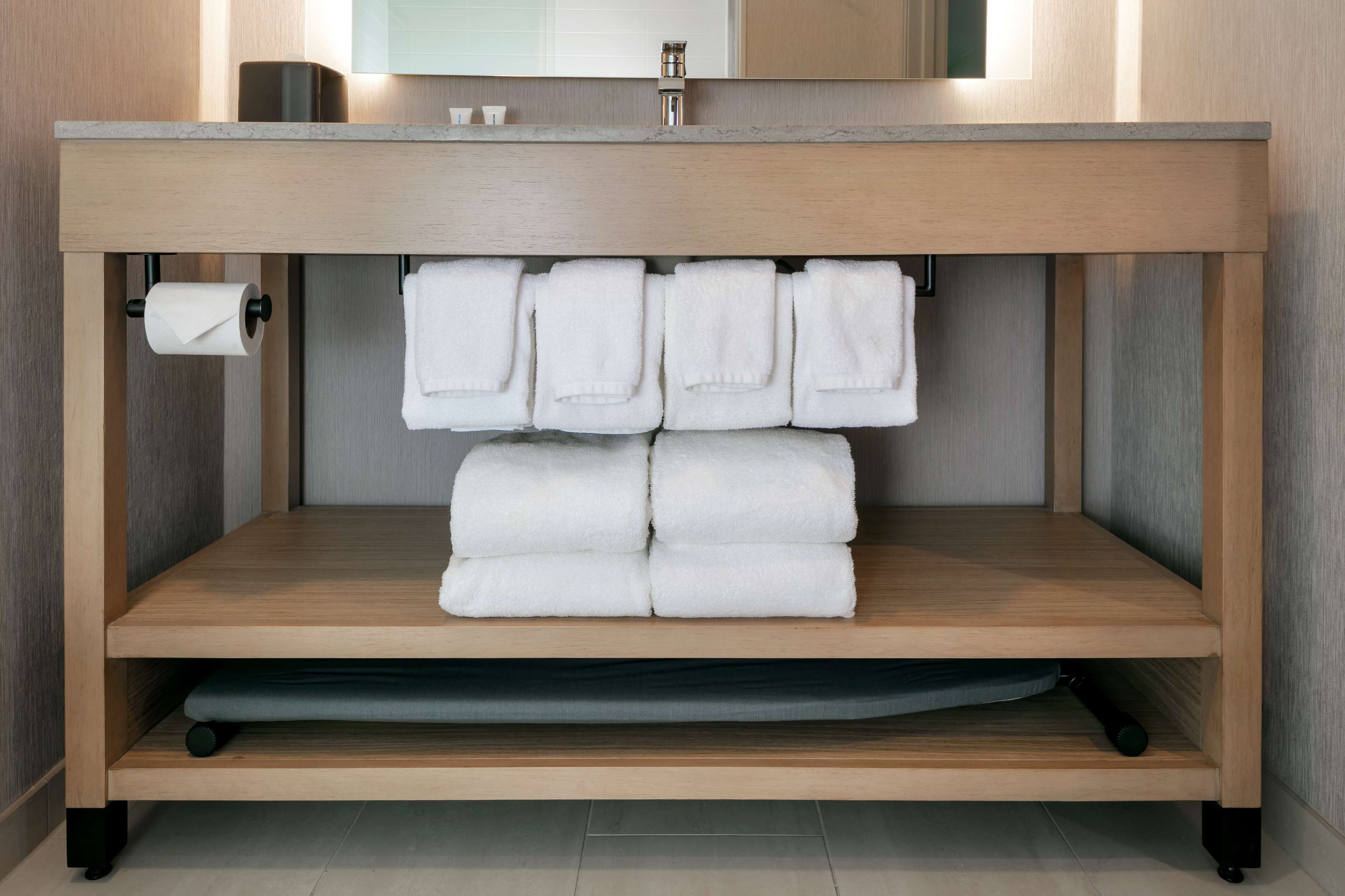 combined shower/bathtub, free toiletries, hair dryer, towels