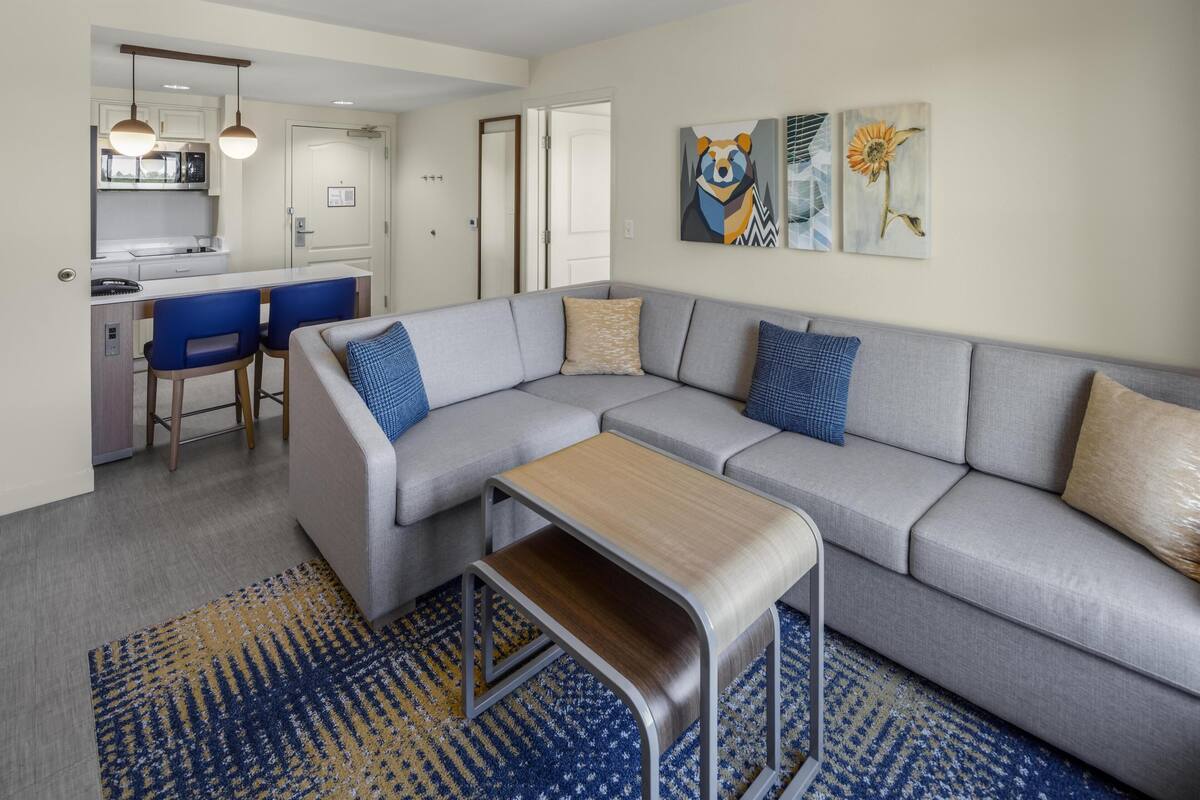 Suite, 1 King Bed | Living area | 43-inch flat-screen TV with cable channels, TV