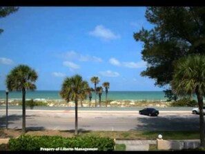 A view of a beach with palm trees and a road with cars.