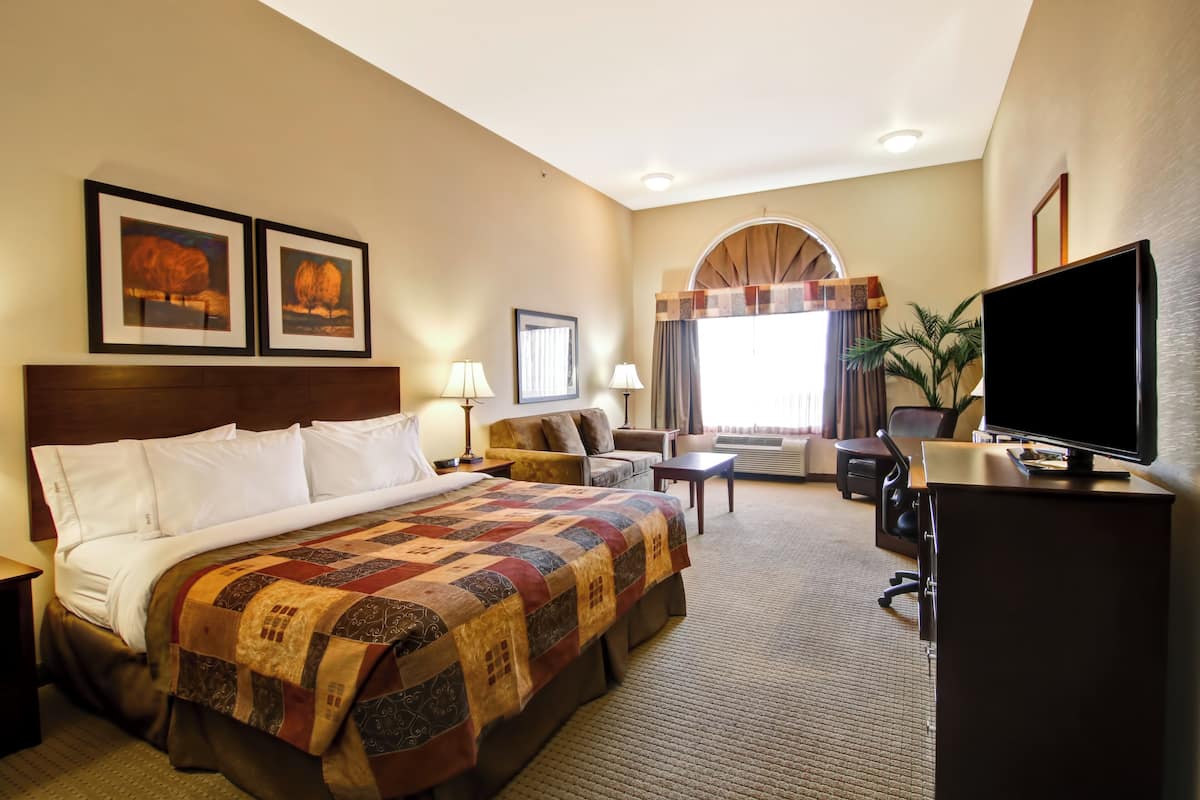 Standard Room, 1 King Bed | Desk, iron/ironing board, free cots/infant beds, free WiFi