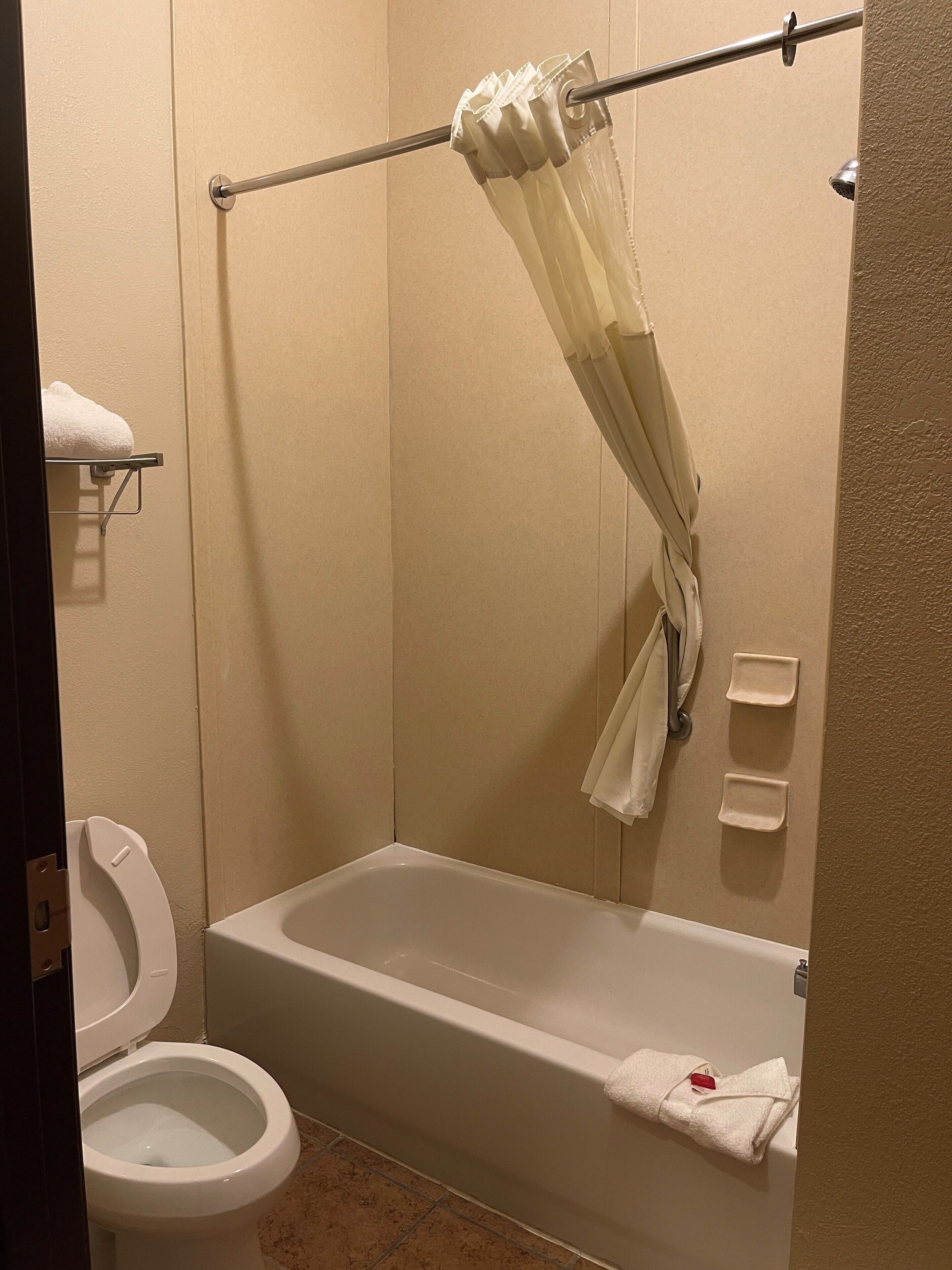 combined shower/bathtub, free toiletries, hair dryer, towels