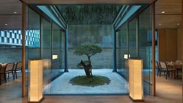 Imagen general