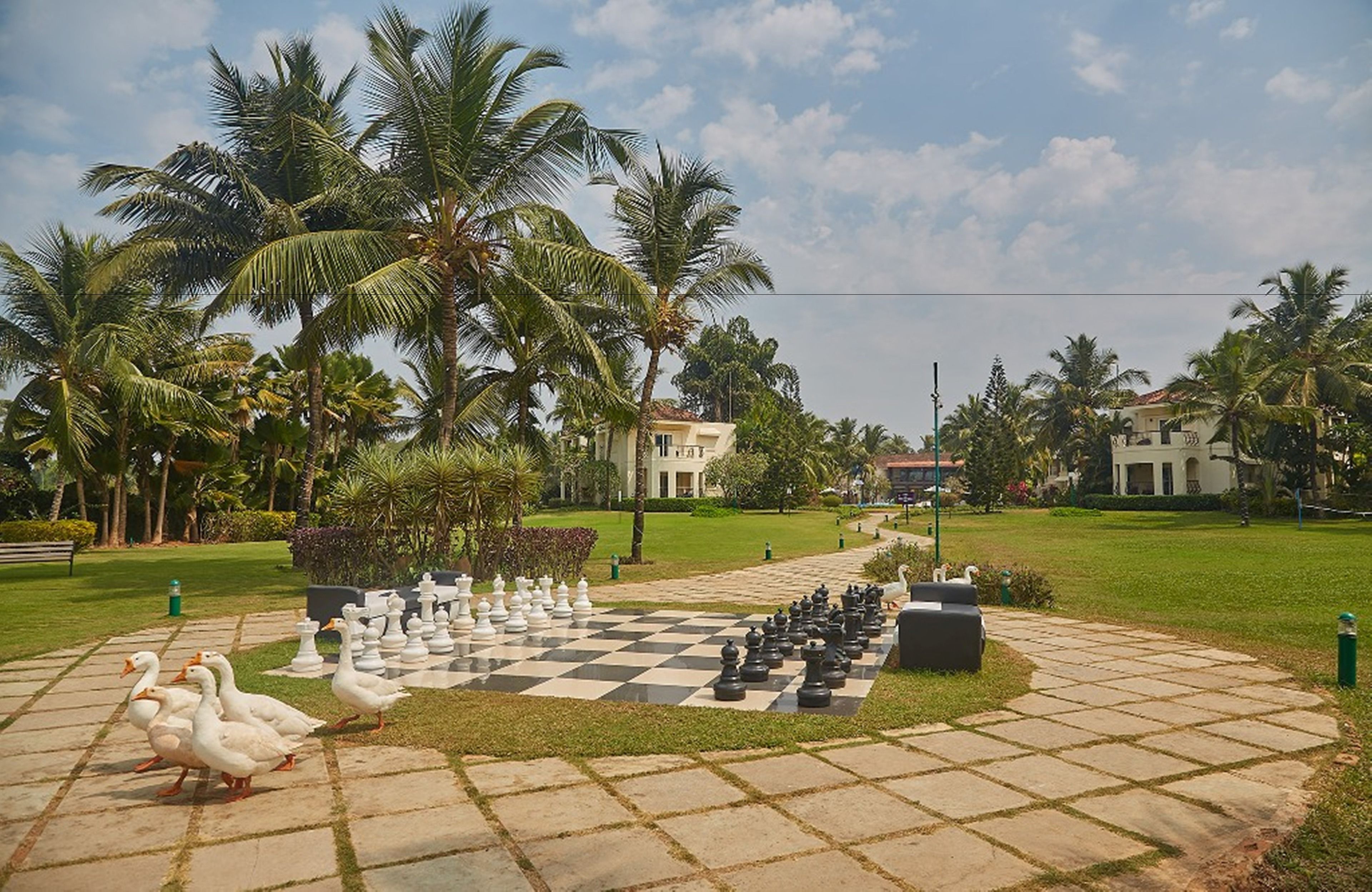 A chessboard set outdoors surrounded by palm trees and a well-maintained lawn.