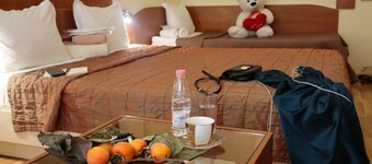 Palitra Family Hotel