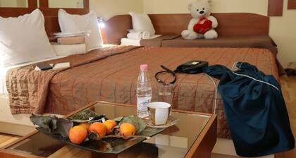 Palitra Family Hotel