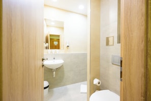 A bathroom with a sink, toilet, and mirror.