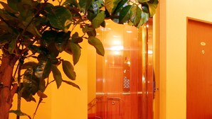A hotel elevator with a glass door, a red carpet, and a plant in the foreground. - Hotel Palace (Plzen)