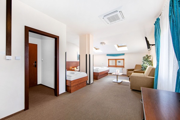 Deluxe Room | In-room safe, desk, iron/ironing board, free WiFi