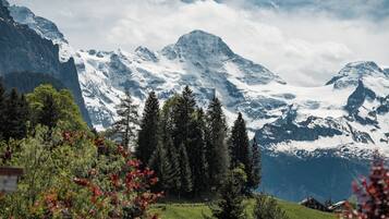 Vistas a la montaña