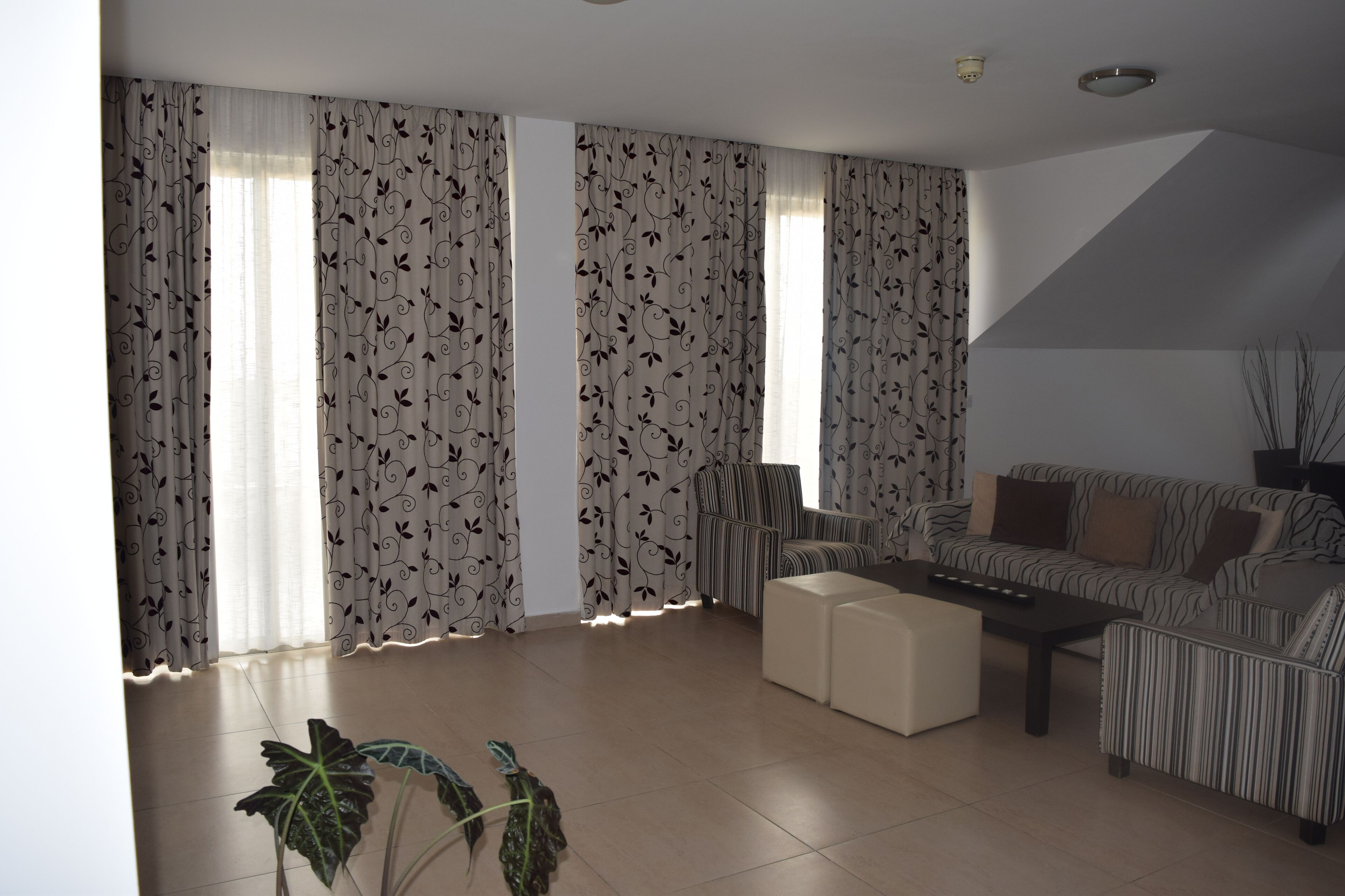 A living room with a sofa, a coffee table, and a TV. There are curtains with a leaf pattern, and a plant is visible.