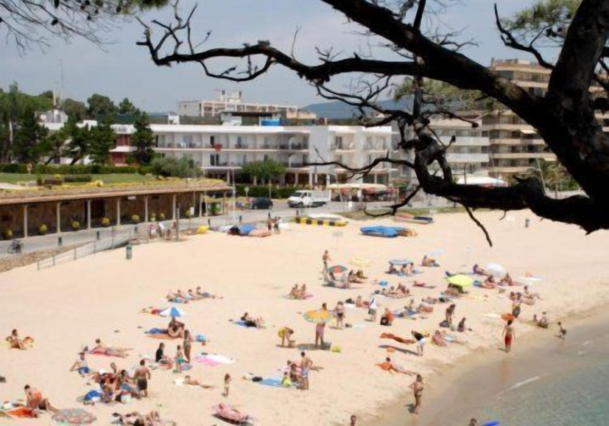 Zonneterras