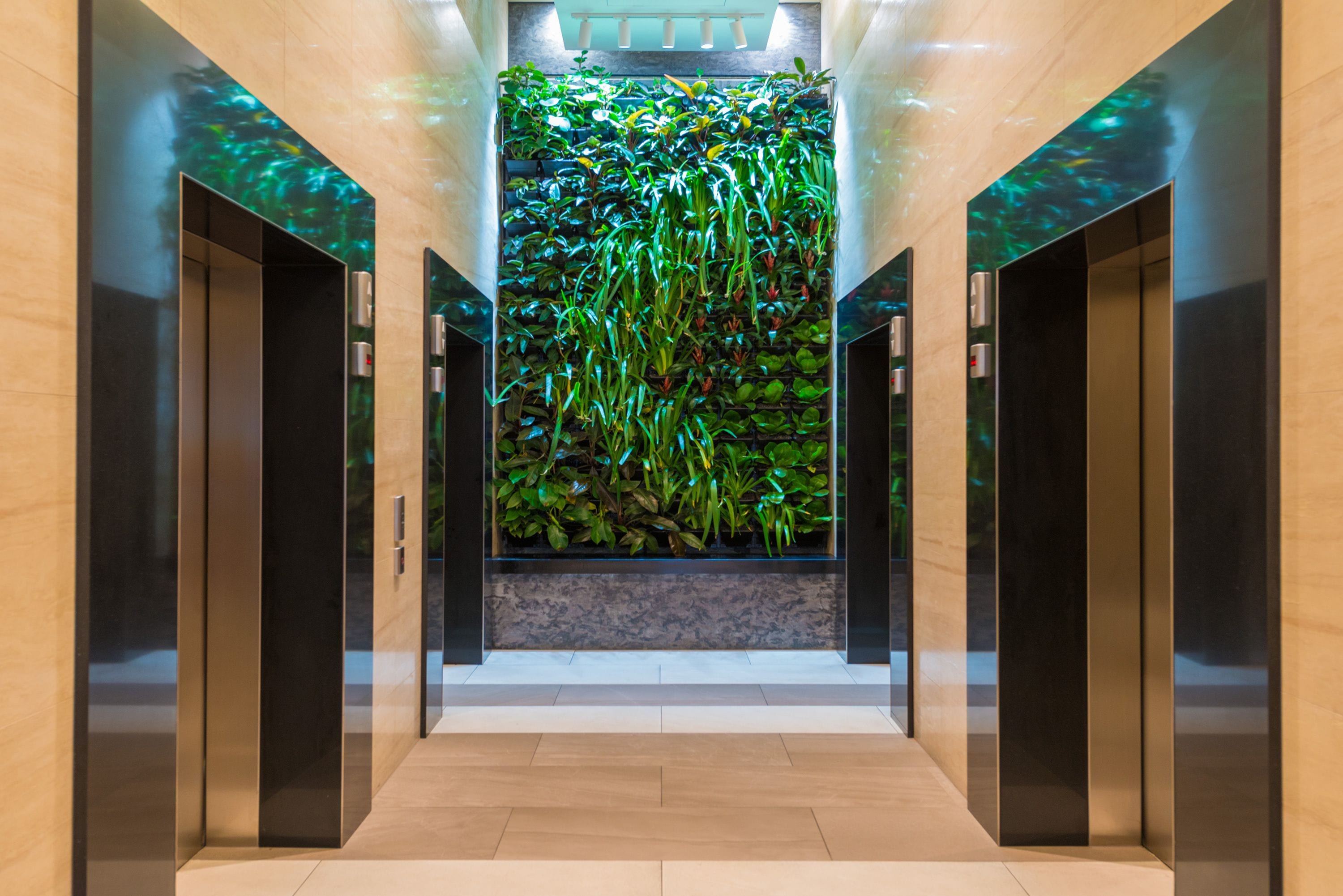 المنطقة المحيطة بالمنشأة