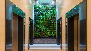 A hallway with two elevators, a wall-mounted vertical garden, and a tiled floor. - Mantra On Mary (Brisbane)