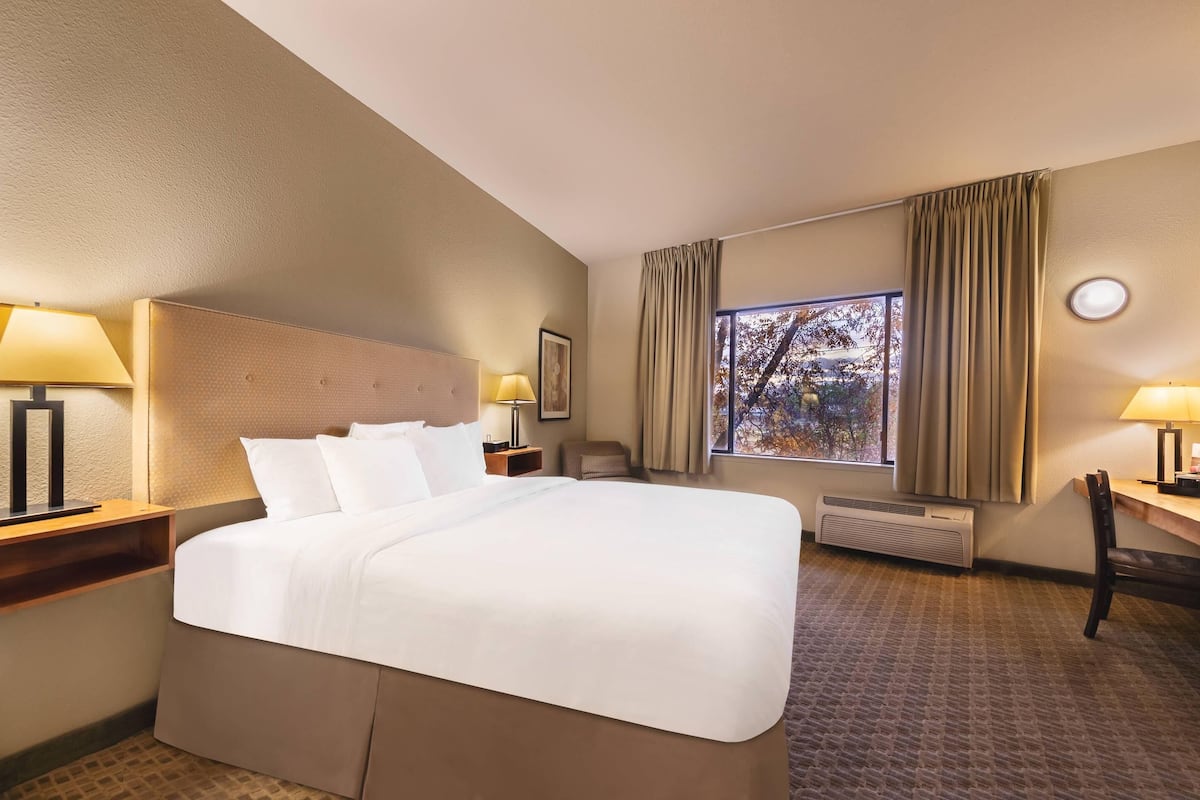 Habitación de hotel con una cama grande, dos mesitas de noche con lámparas, una ventana con cortinas y vistas a árboles.