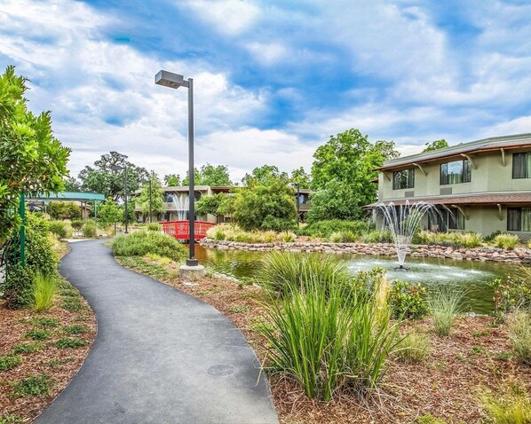 Stroll along the paved pathway to a serene pond with a soothing fountain, surrounded by lush plants and shrubs.