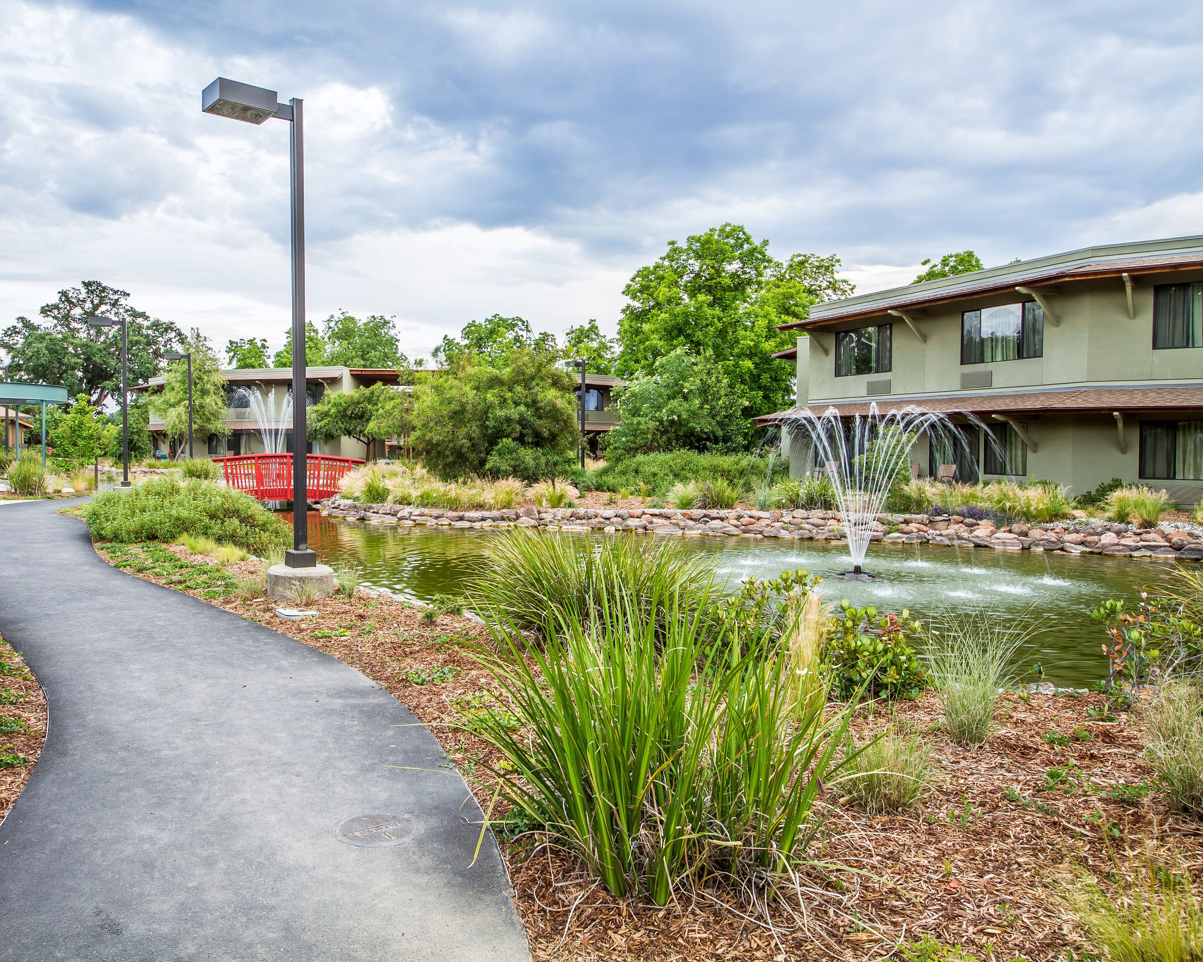 A landscaped area with a paved walkway, a pond with a fountain, and modern buildings in the background.