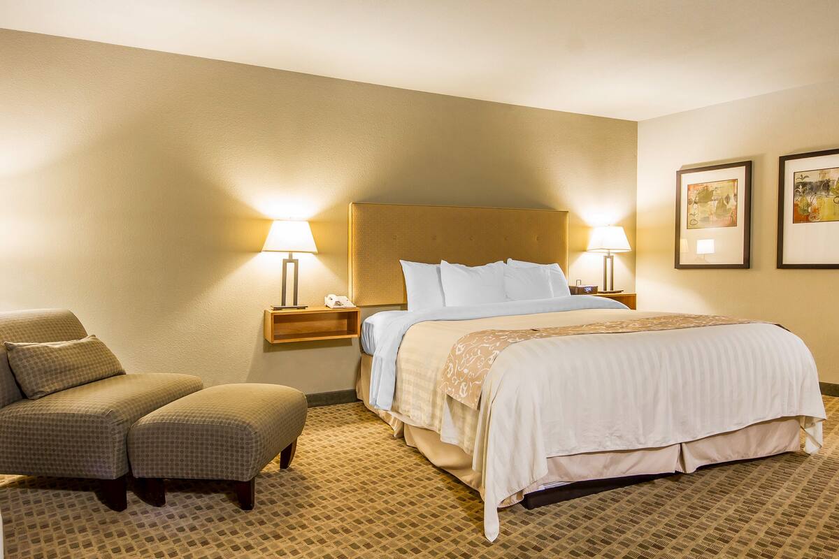 premium bedding, pillow-top beds, desk, blackout curtains