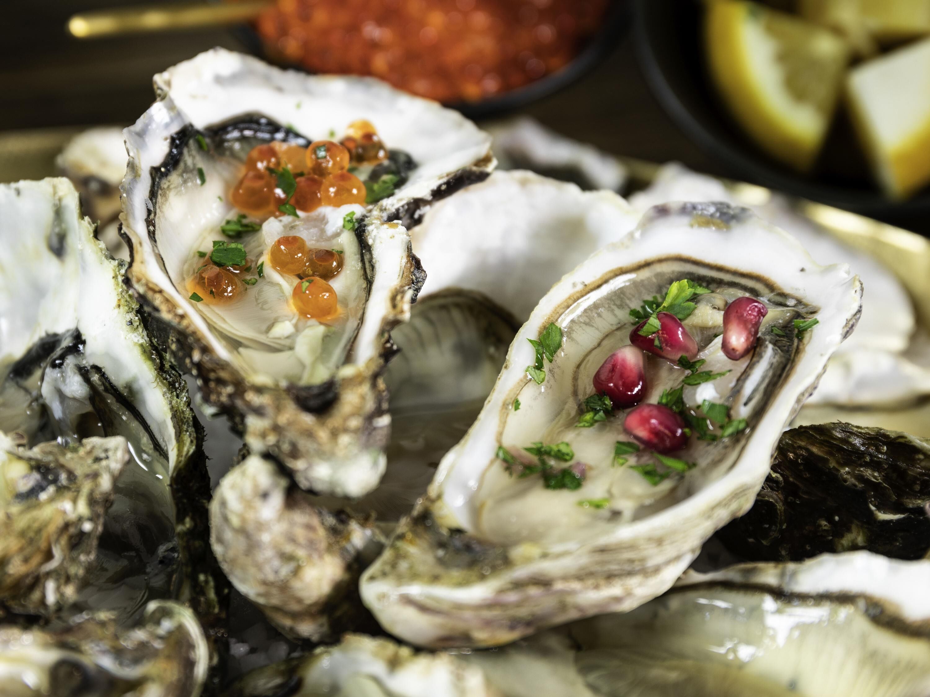 breakfast and dinner served, french cuisine