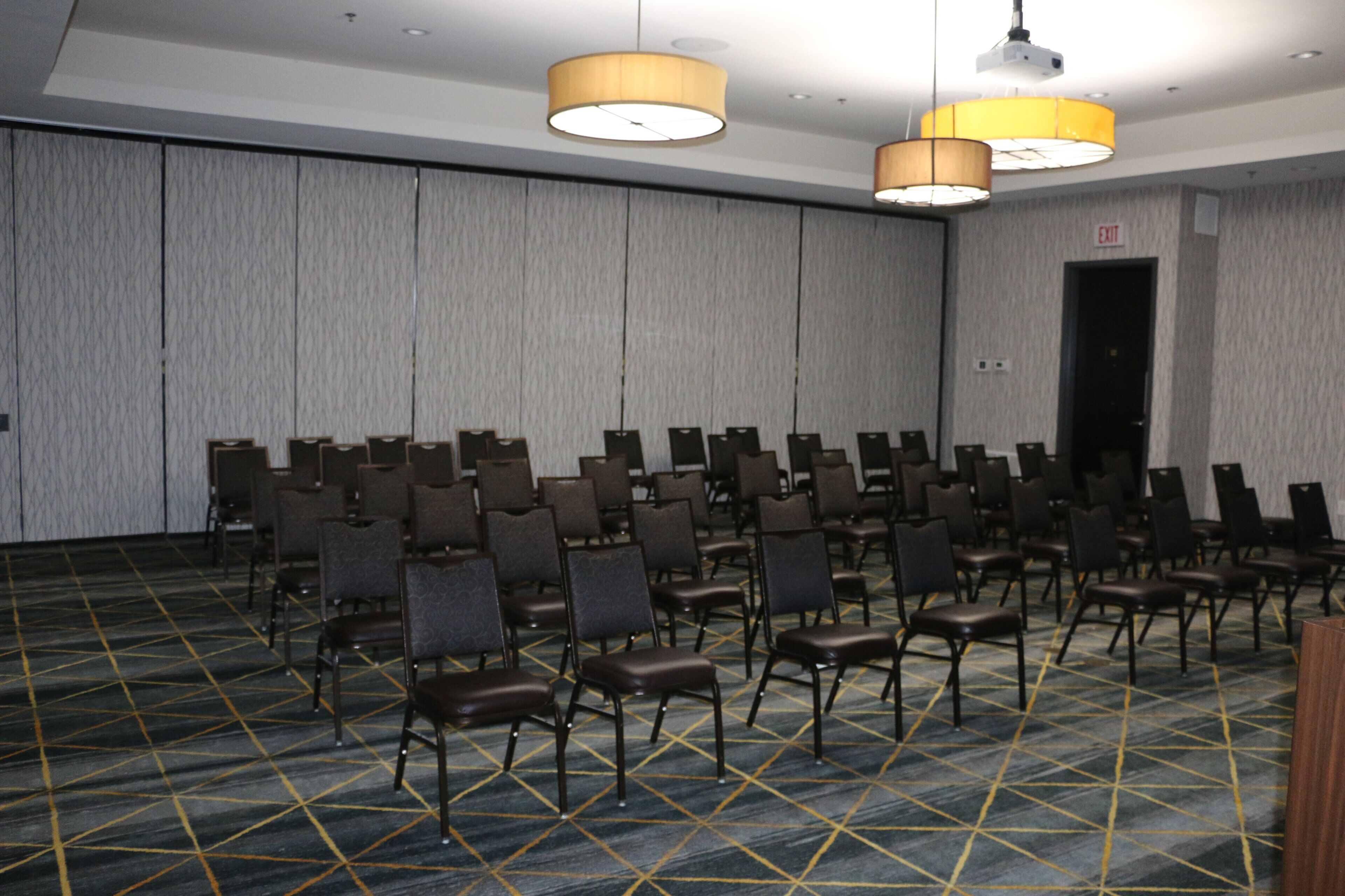 A conference room with rows of chairs, a patterned carpet, and two ceiling lamps.