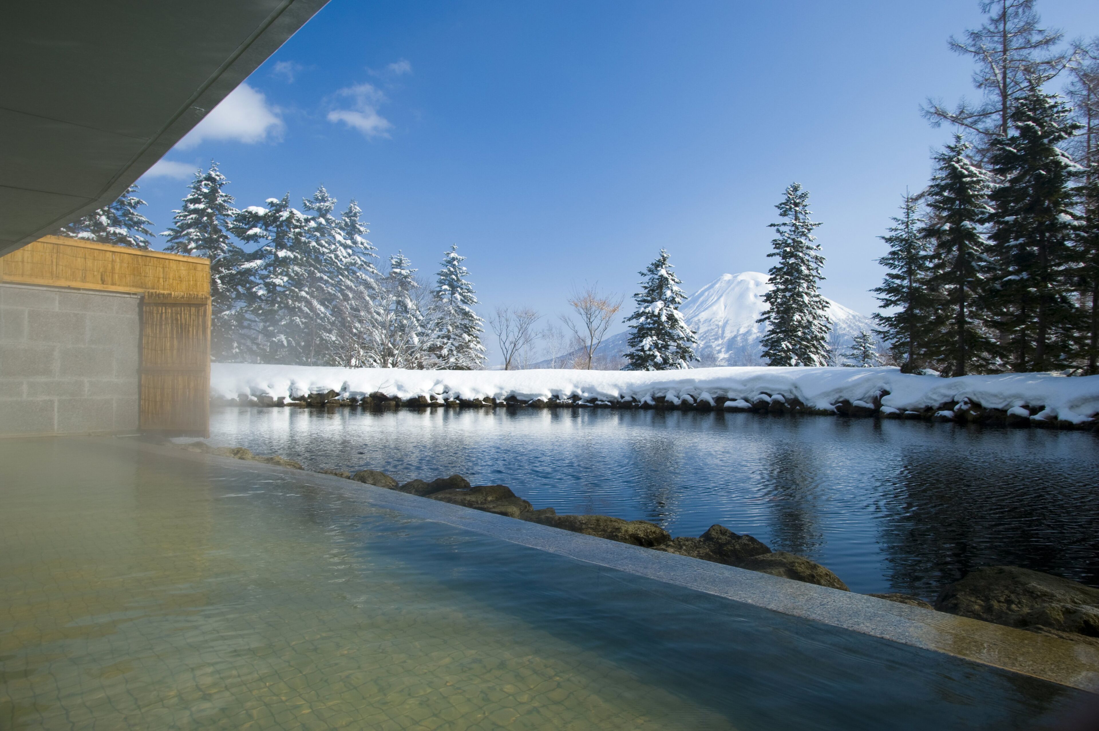 Un espace de bien-être avec une source d’eau chaude, entouré d’arbres couverts de neige et avec une montagne en arrière-plan.