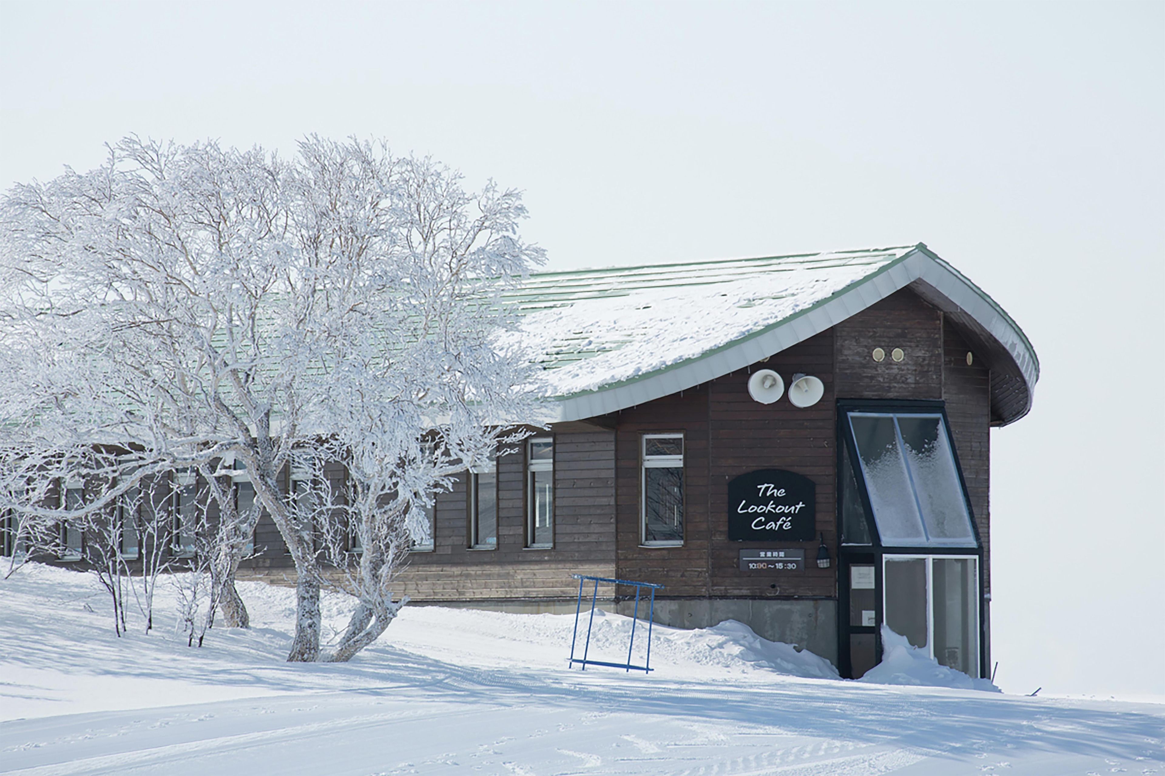Un bâtiment en bois avec une enseigne indiquant « The Lookout Café », et un arbre au premier plan.