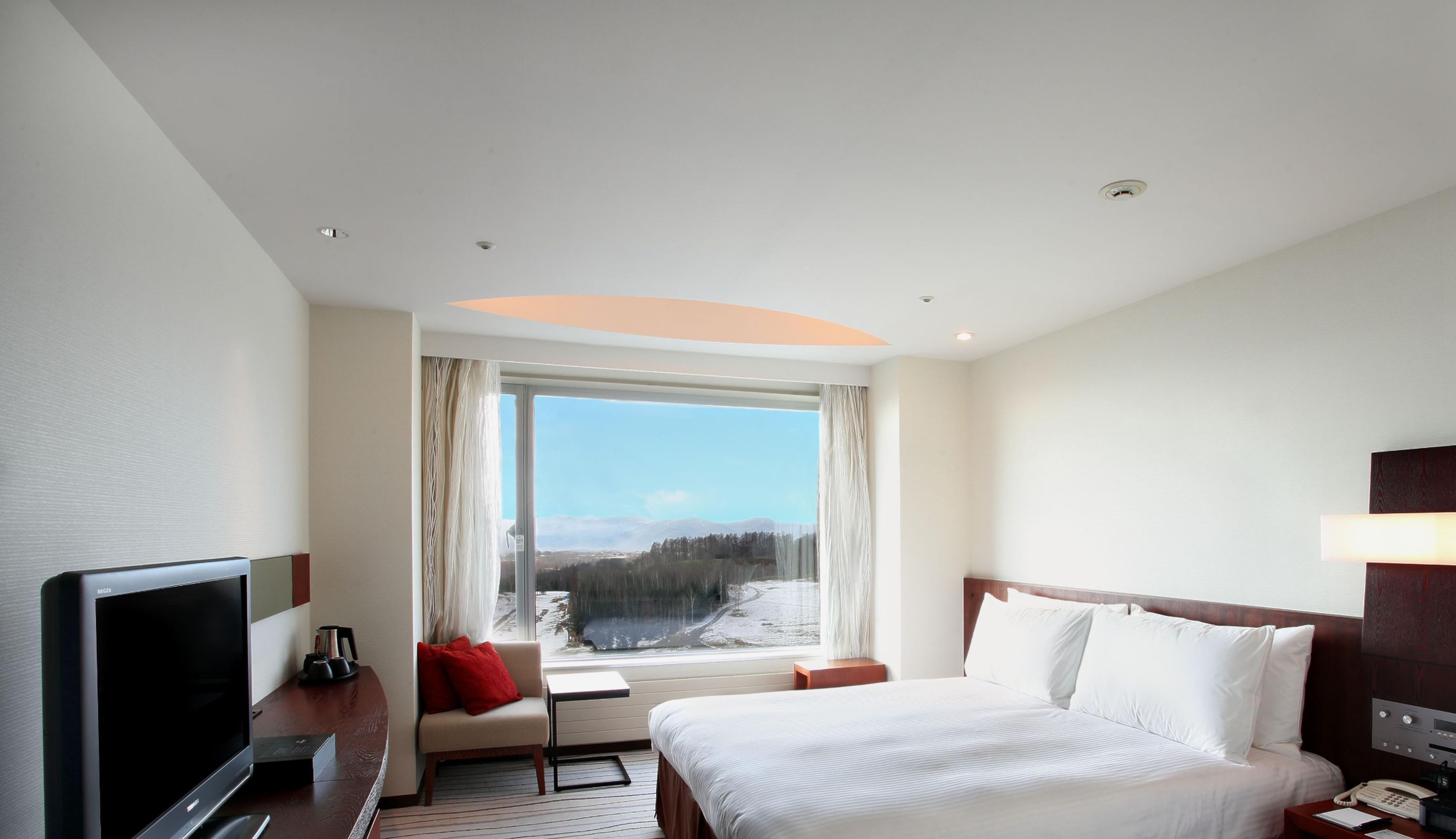Habitación de hotel con cama, televisión, escritorio, ventana con vista a un paisaje nevado y una lámpara en el techo.