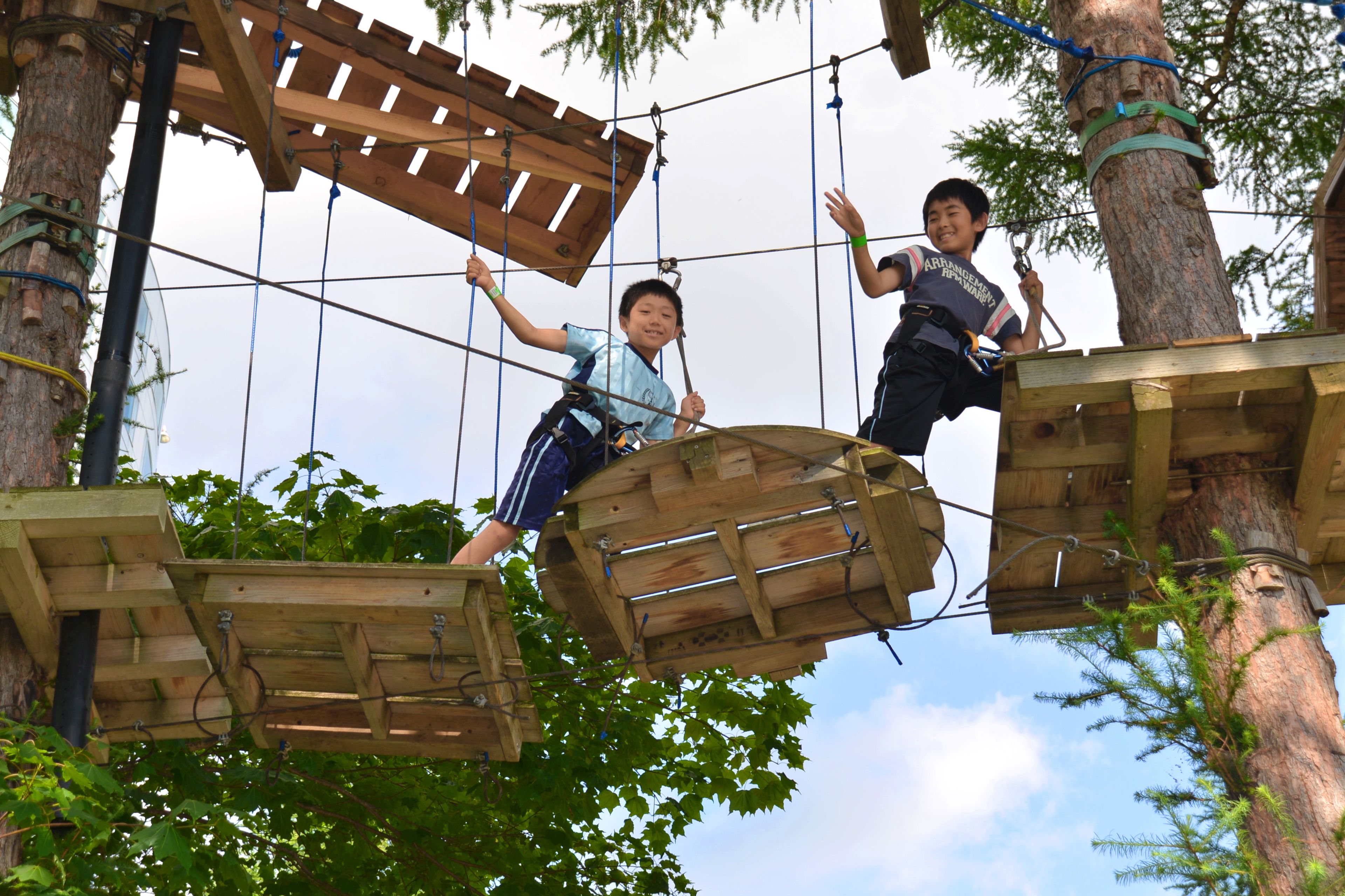A wooden platform suspended by ropes between trees, with individuals wearing harnesses.
