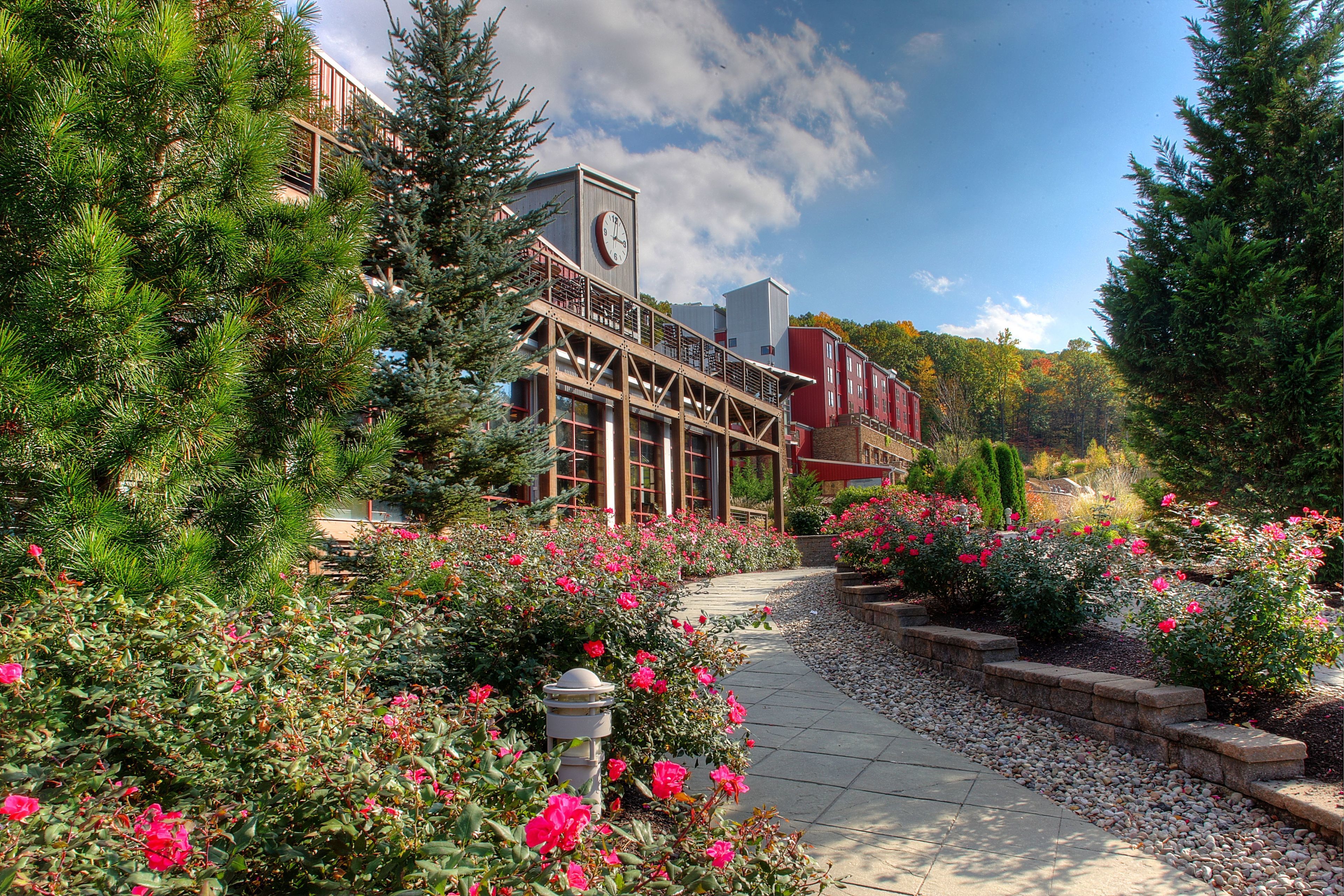 A building with a clock tower, surrounded by a garden with pink flowers and pine trees.