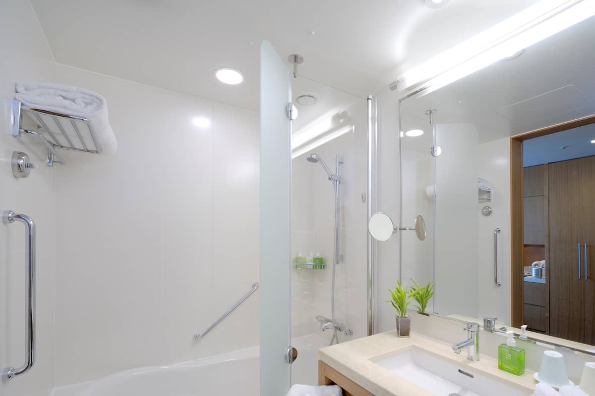 Combined shower/bathtub, deep-soaking bathtub, free toiletries