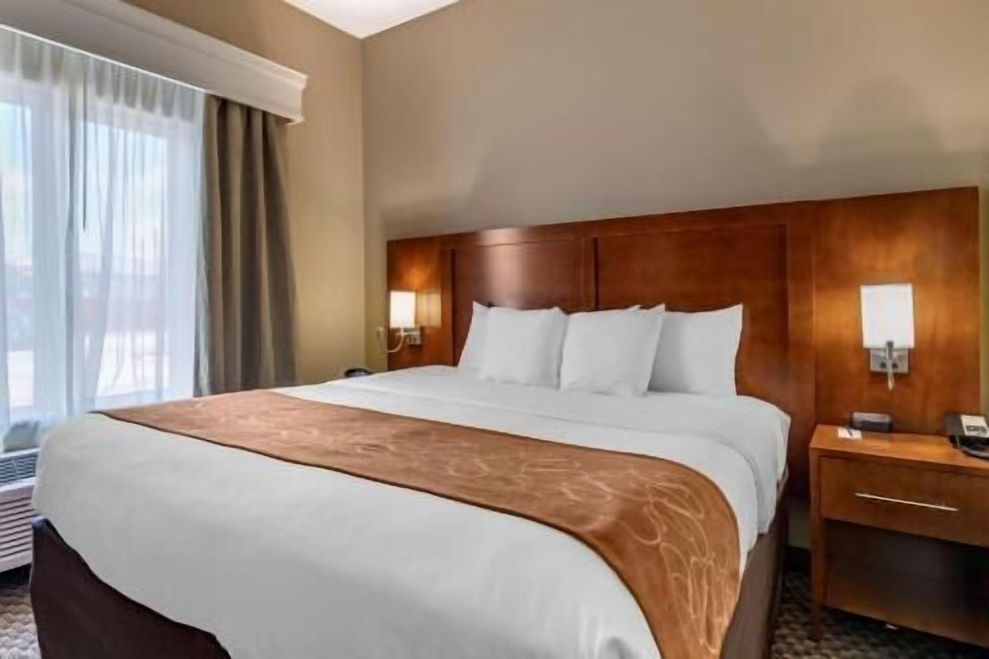 Camas con pillow-top, escritorio y tabla de planchar con plancha 
