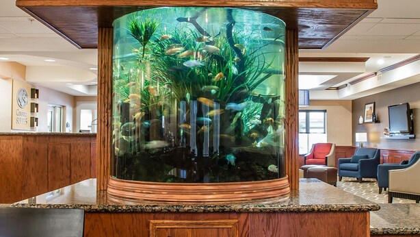 A lobby with a large aquarium, wooden paneling, and seating areas. - Comfort Suites Near Texas A&M University - Corpus Christi (Corpus Christi)
