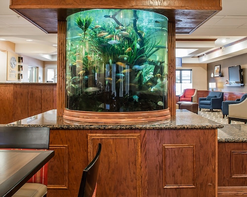 Comfort Suites Near Texas A&M University - Corpus Christi