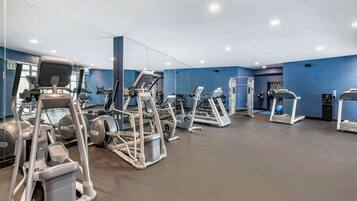 A gym with various exercise equipment, including treadmills and elliptical machines, and a large mirror wall.