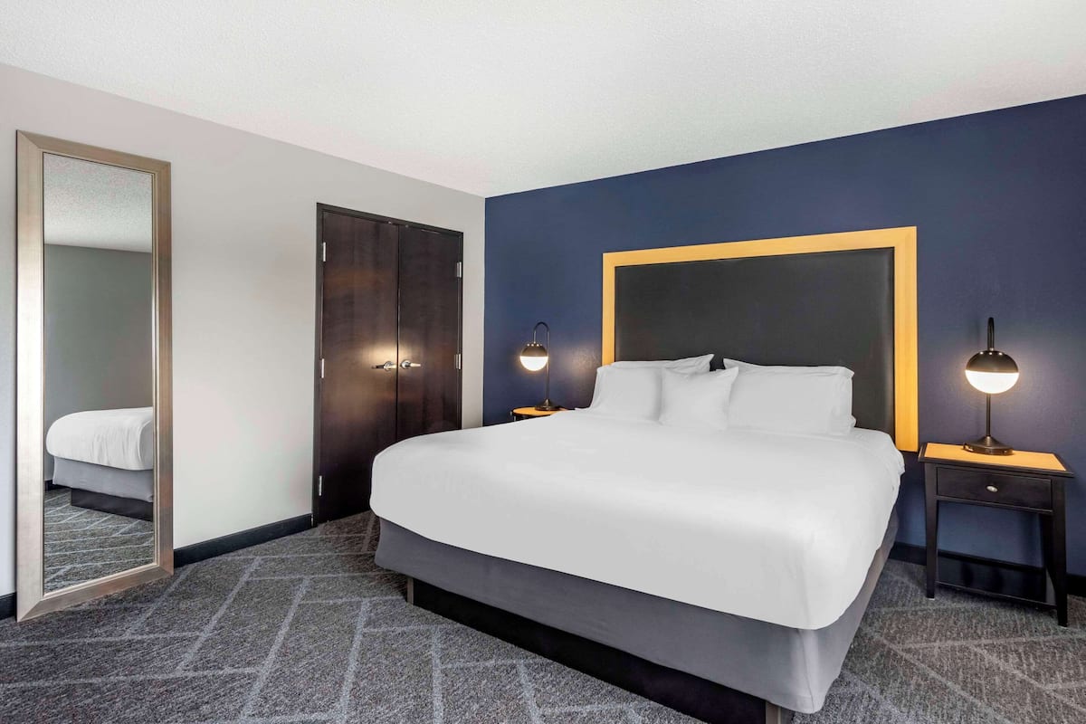 Suite, 1 King Bed with Sofa bed, Non Smoking