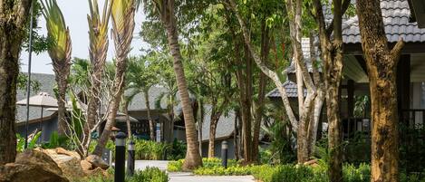 A pathway lined with trees and rocks leading to a building with a tiled roof.