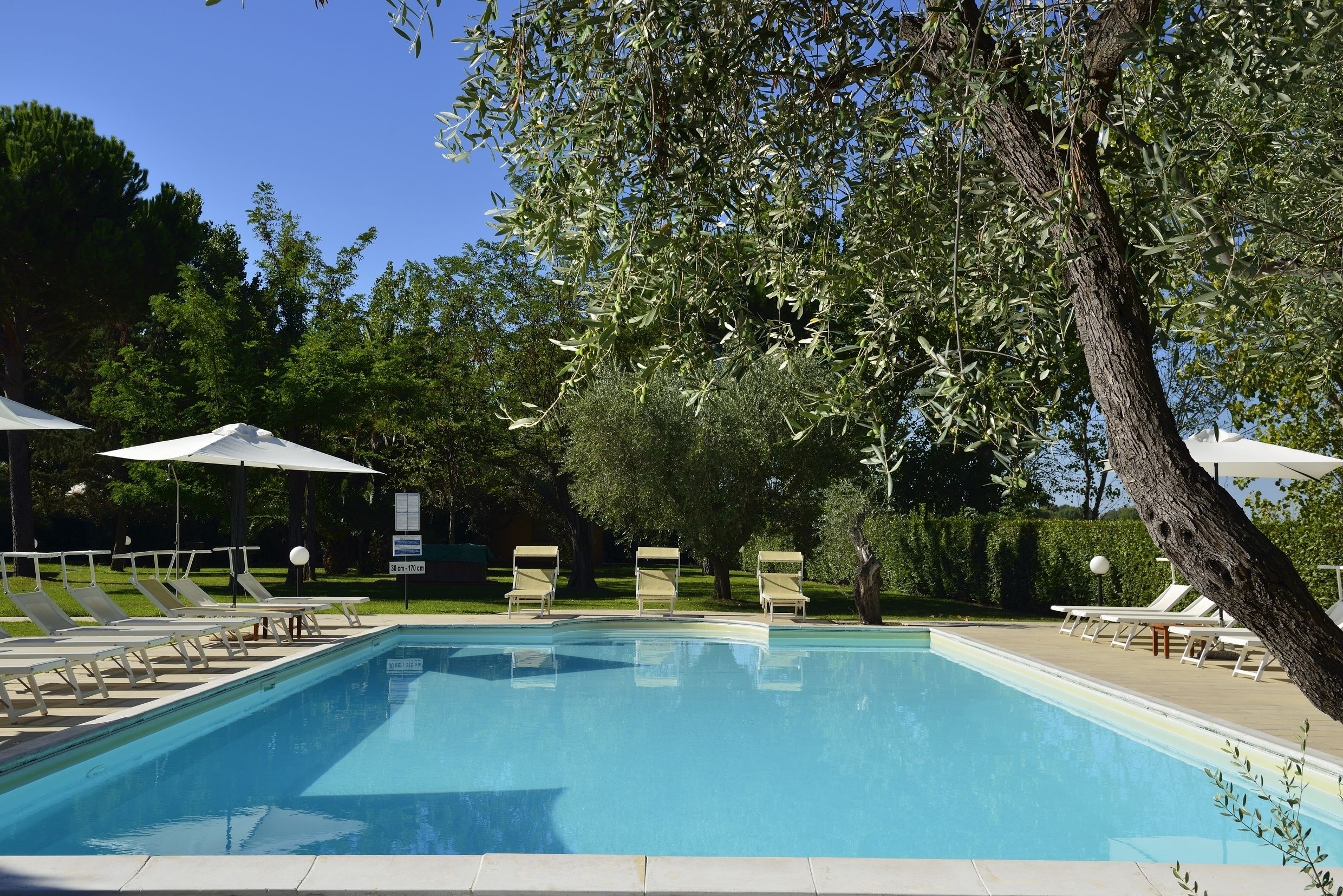 A rectangular swimming pool with clear blue water, surrounded by lounge chairs and umbrellas.