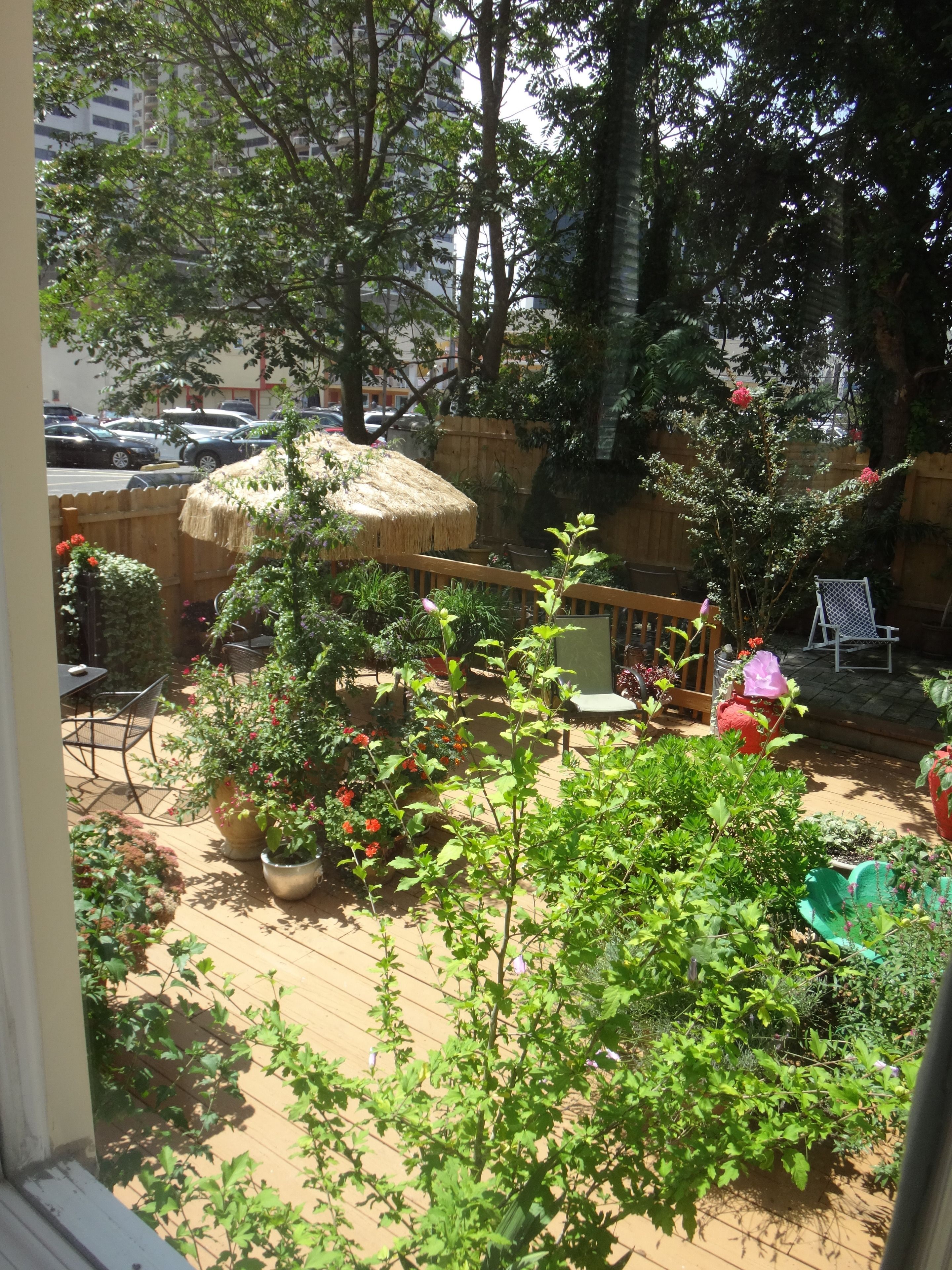 Habitación, baño privado (Room 101) | Vistas desde la habitación